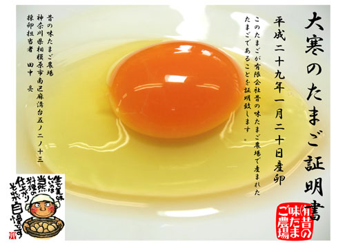 大寒卵の由来のイメージ