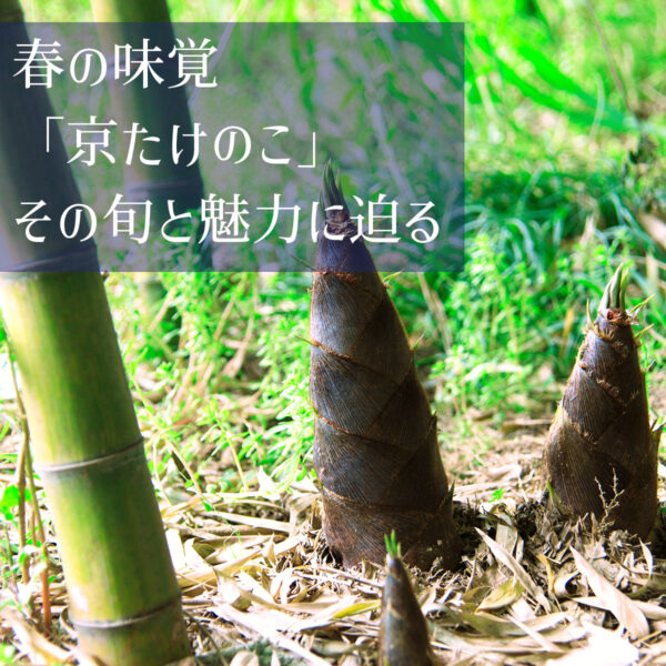 春の味覚「京たけのこ」その旬と魅力に迫る