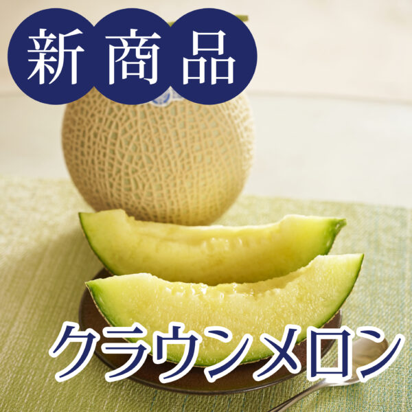［新商品］贈り物の定番！静岡クラウンメロン（マスクメロン）を産地直送でお届け